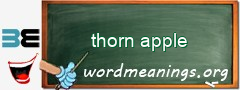 WordMeaning blackboard for thorn apple